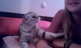 小花猫视频,小花猫的欢乐视频大揭秘